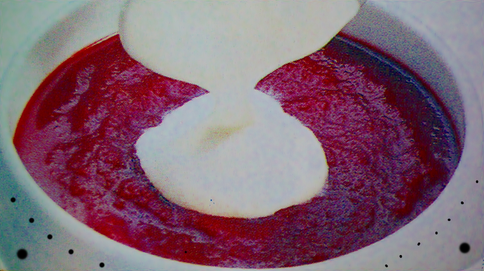 BORSCH UCRANIANO