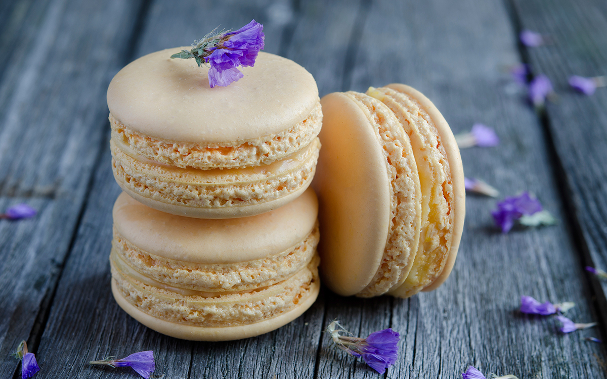 Macarons de vainilla