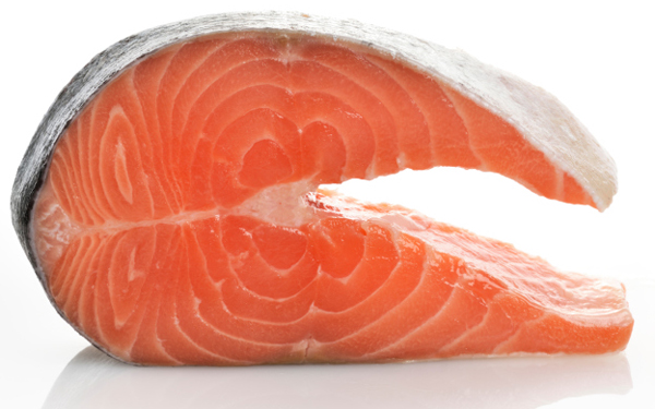 Salmón: el fabuloso pez de mar y rio Salmón: el fabuloso pez de mar y rio