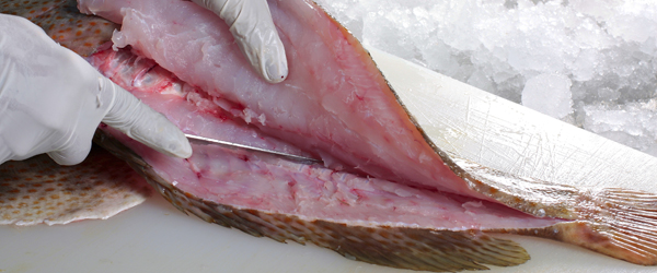 congelar y descongelar pescado como hacerlo