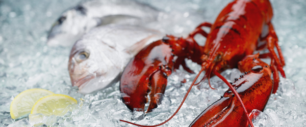 congelar y descongelar pescado facilmente