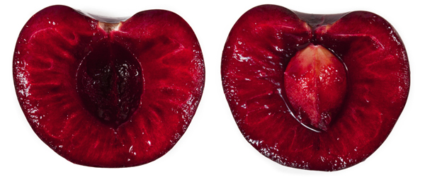 diferencias entre cerezas ypicotas