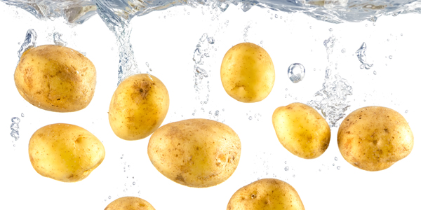 pure de patatas perfecto