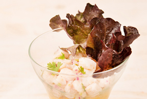 Ceviche con emulsión de maíz