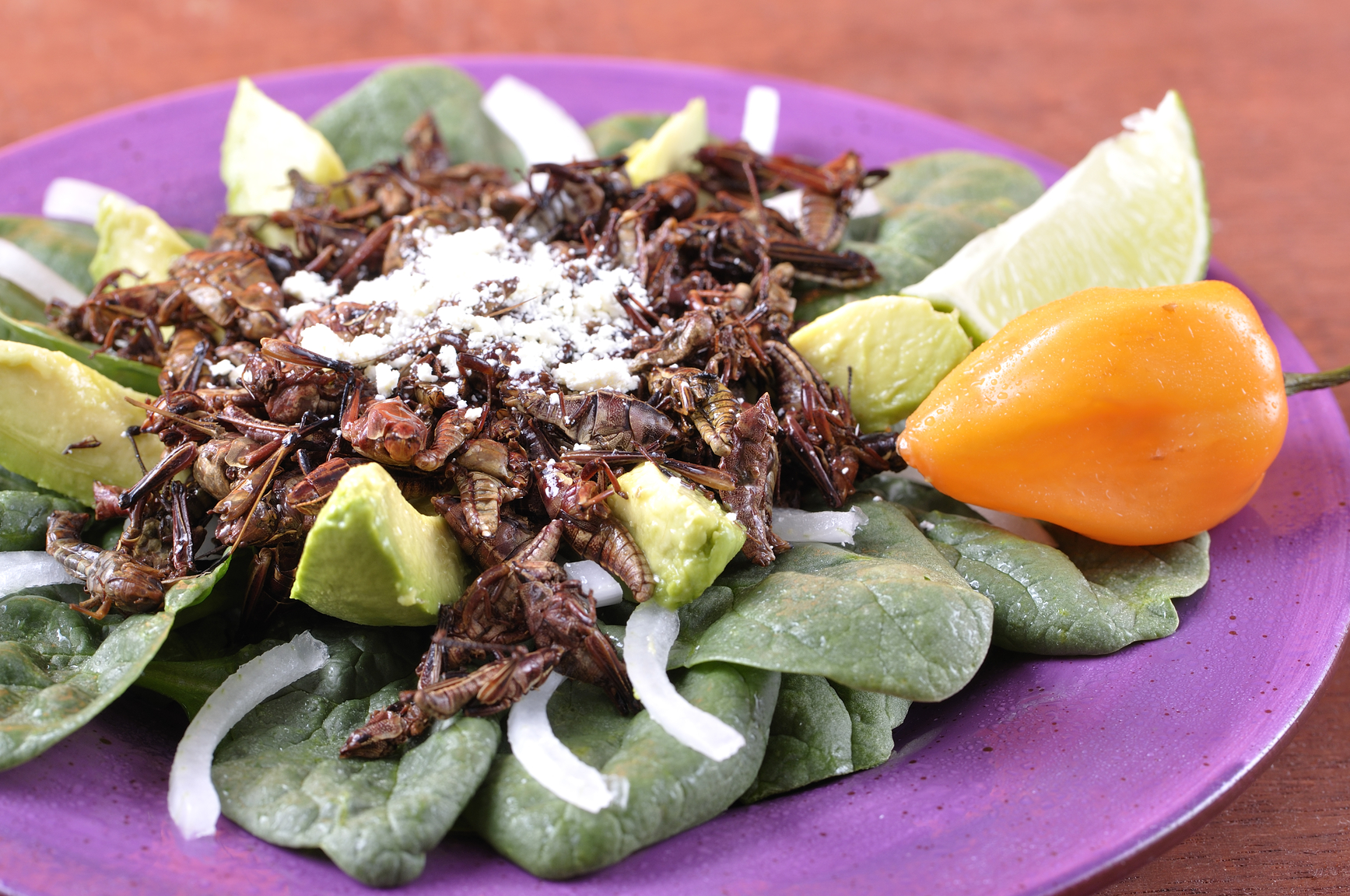 Chapulines fritos