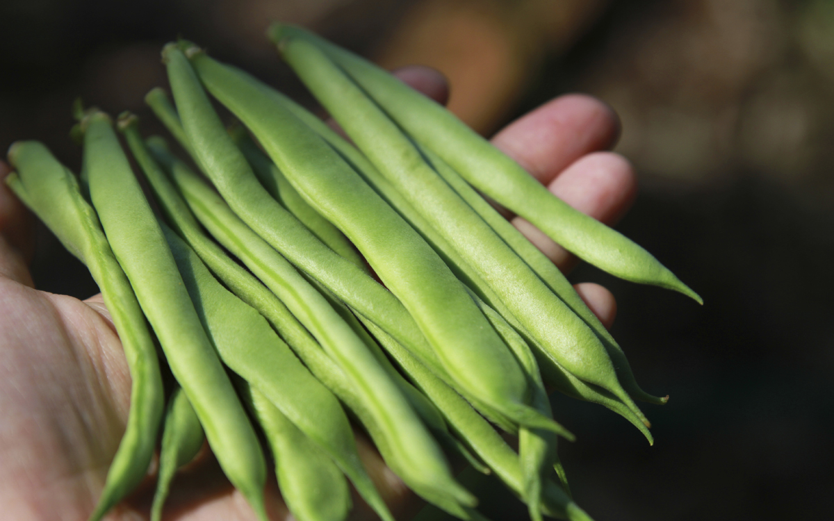 Cómo cocer judías verdes de forma fácil - PequeRecetas