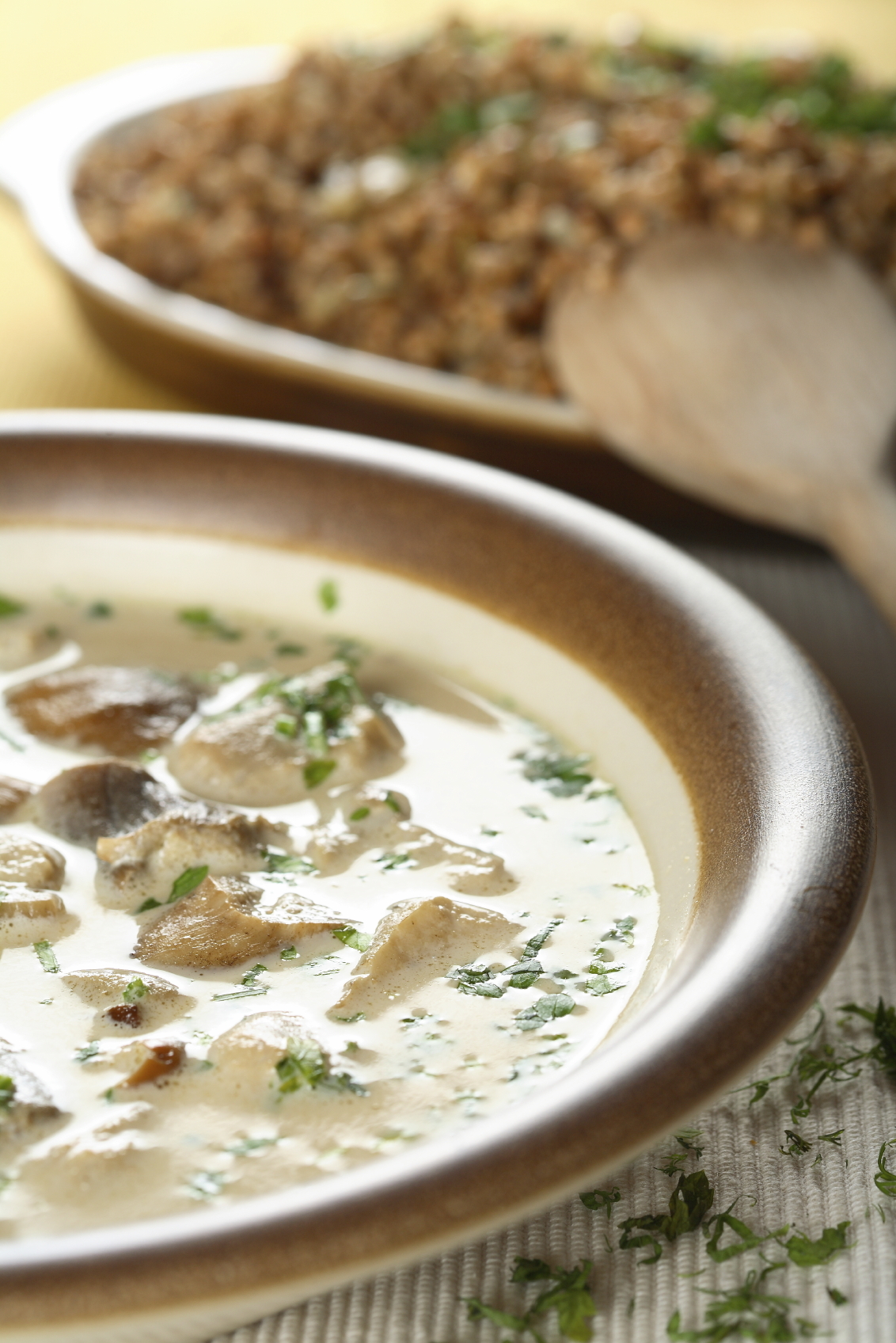 Crema de champiñones y setas con pan frito