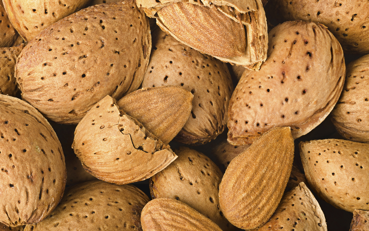 El almendruco... y sus trucos El almendruco... y sus trucos