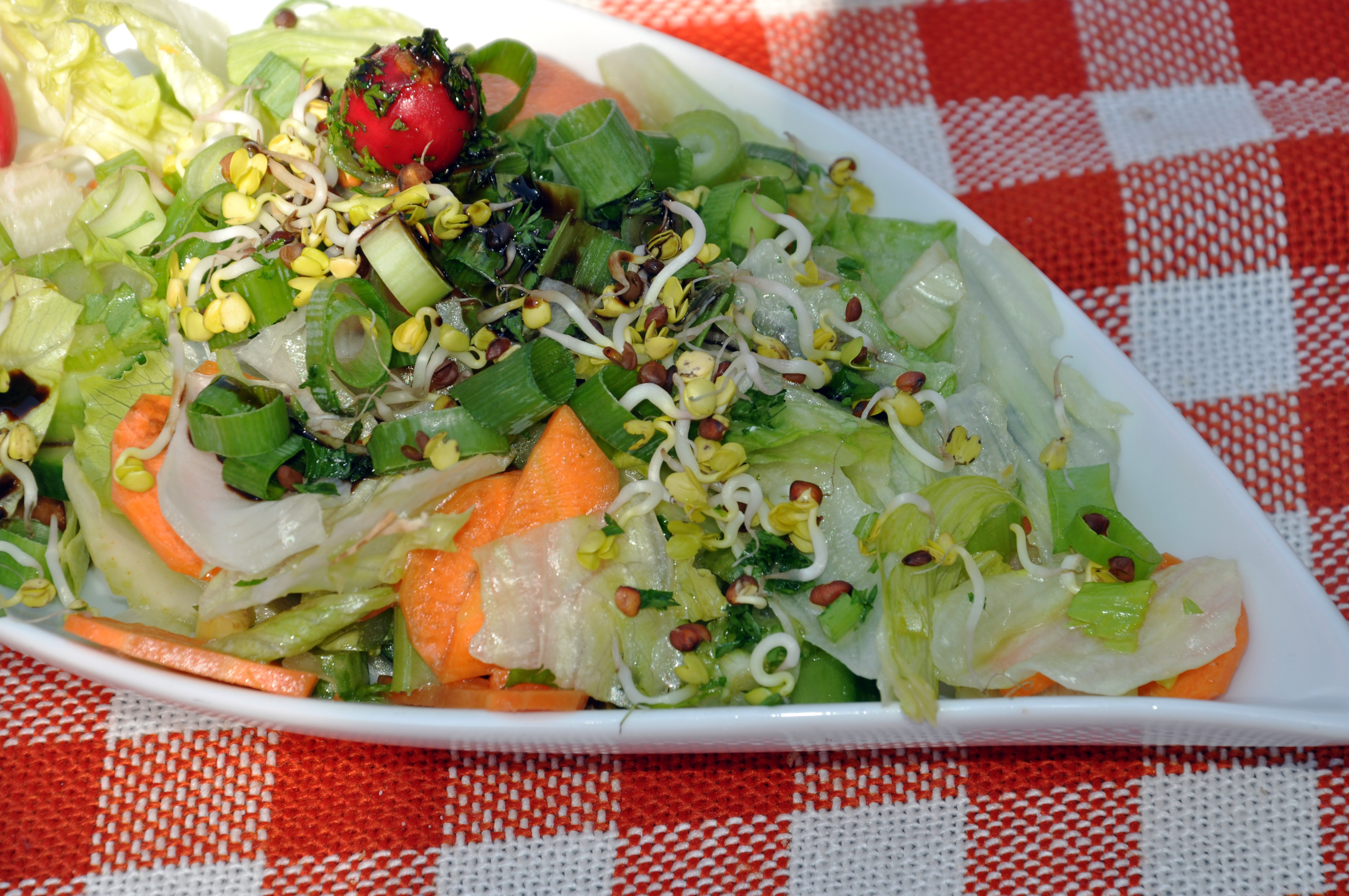 Ensalada de brotes de soja vegetariana