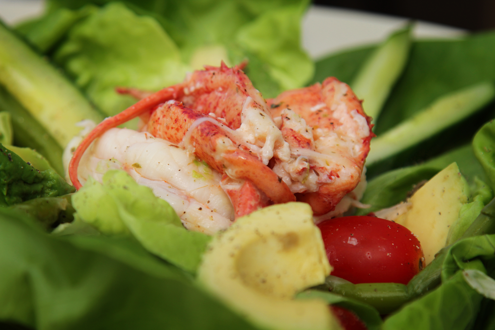 Ensalada de langosta con aguacate