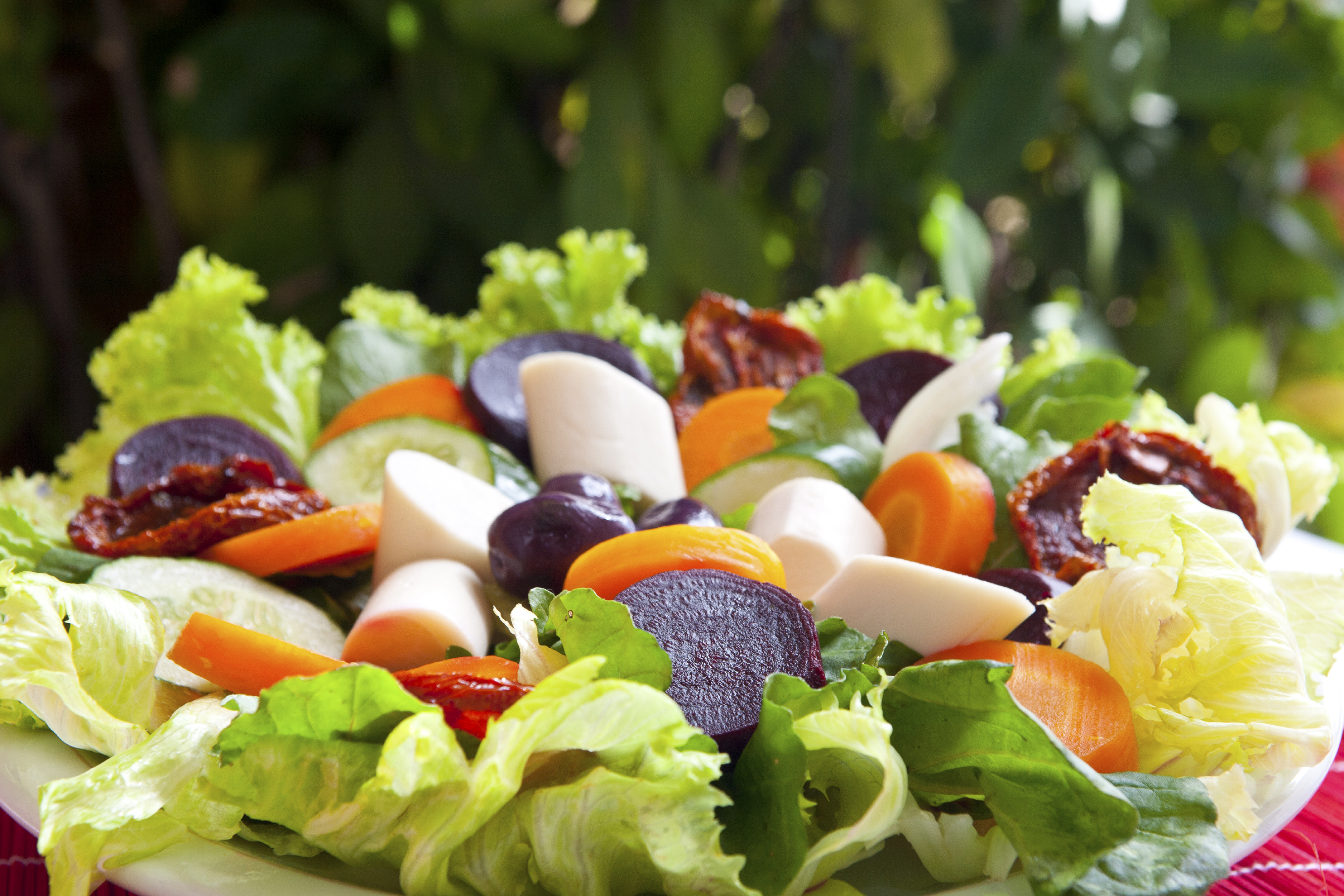 Ensalada de palmitos