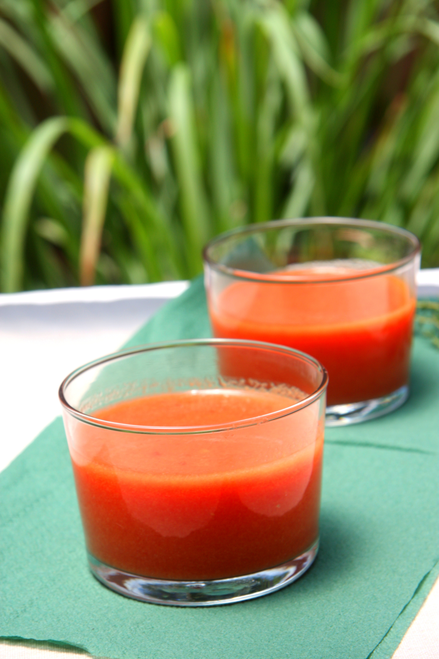 Gazpacho de sandía - receta usuario