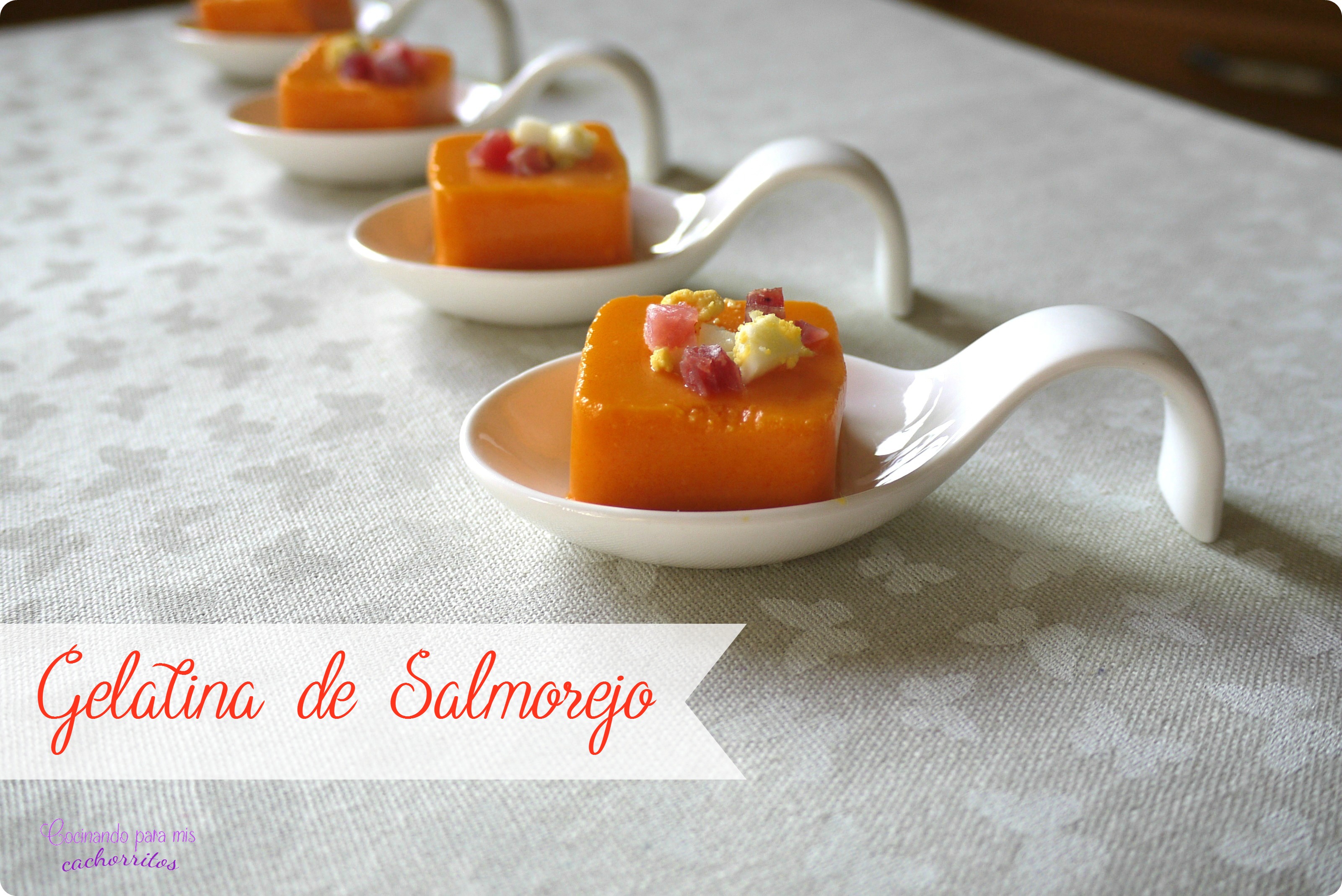 Gelatina de salmorejo