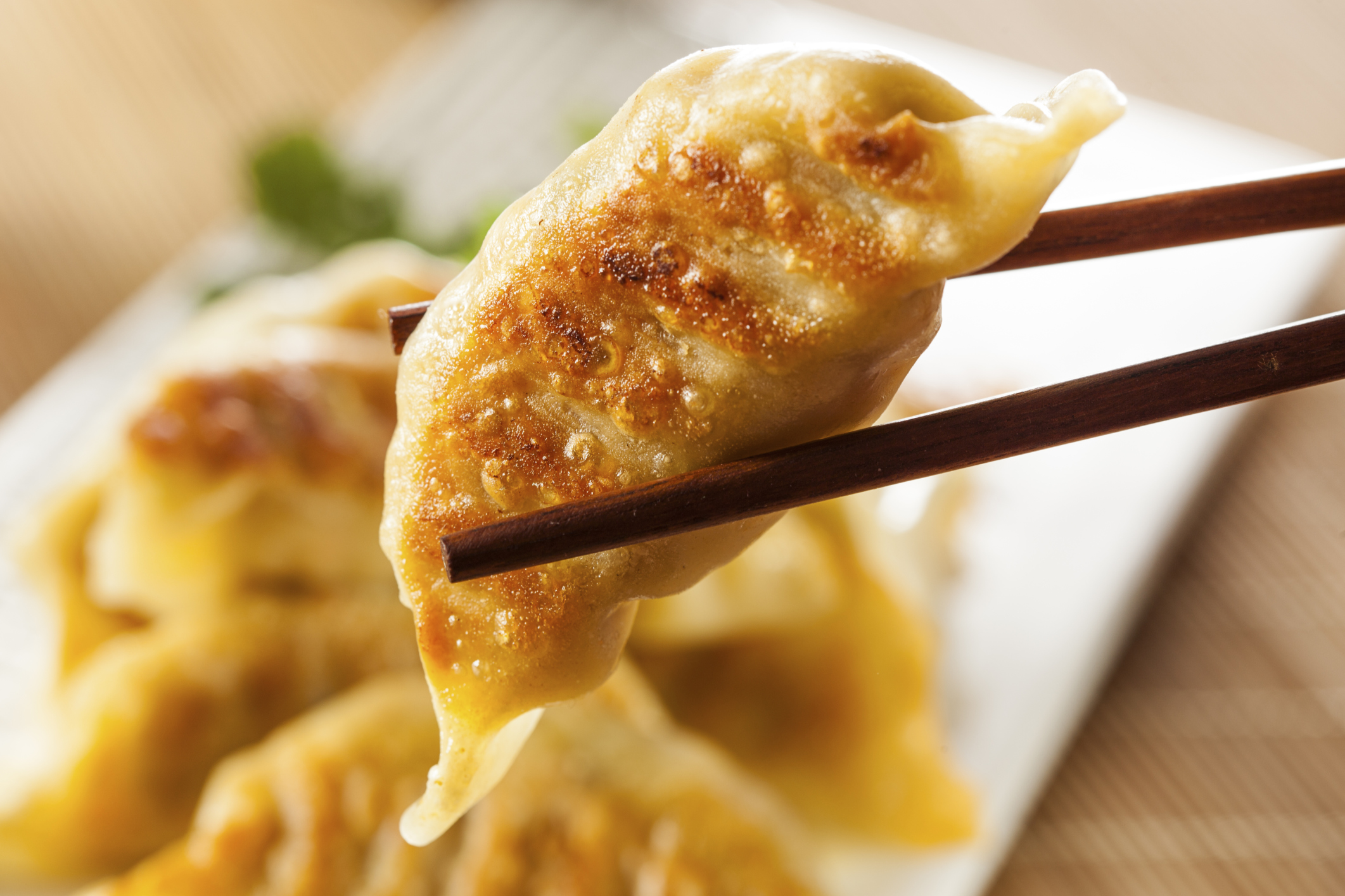 Gyoza