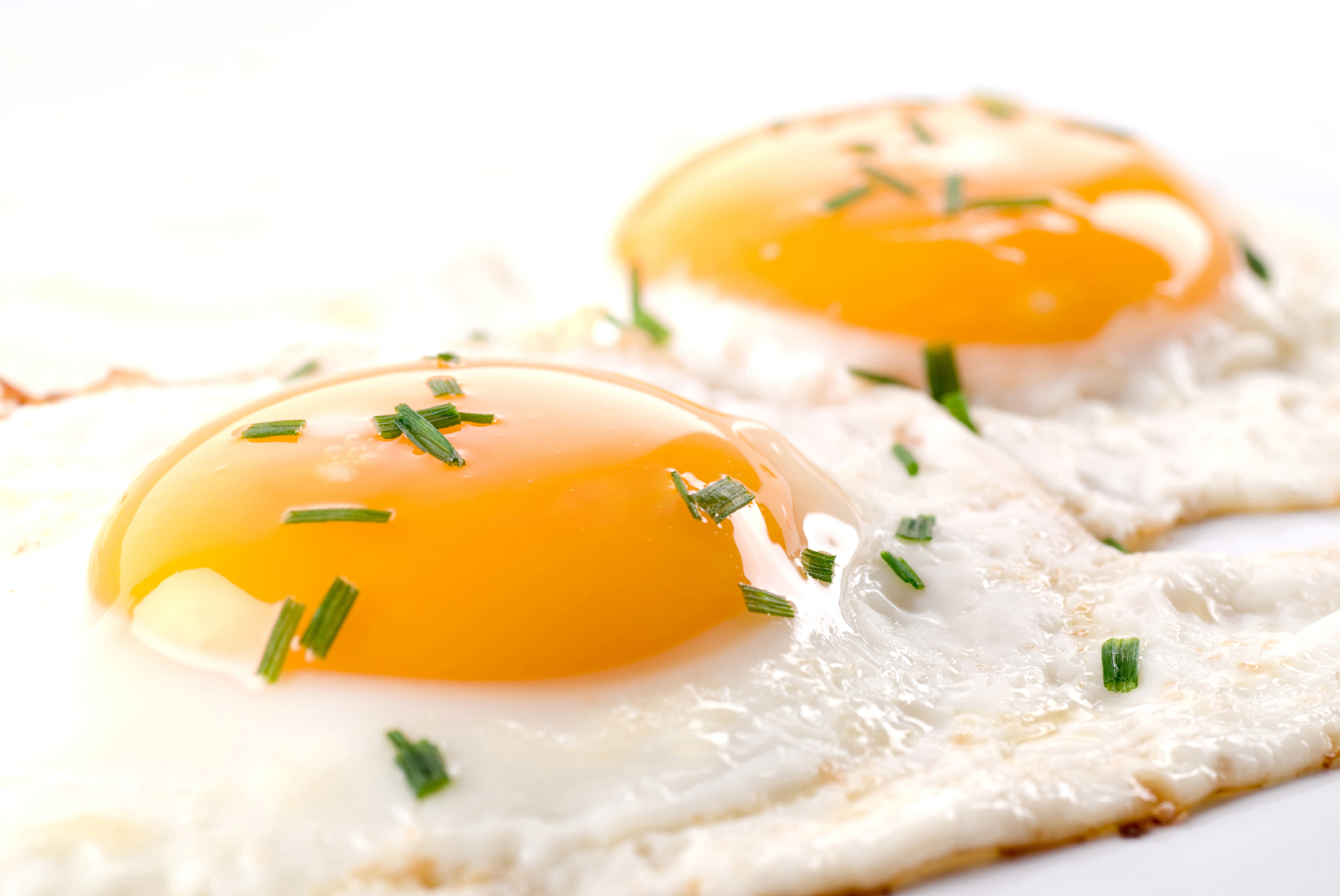 Huevos fritos Simone Ortega versus Ferrán  Adriá