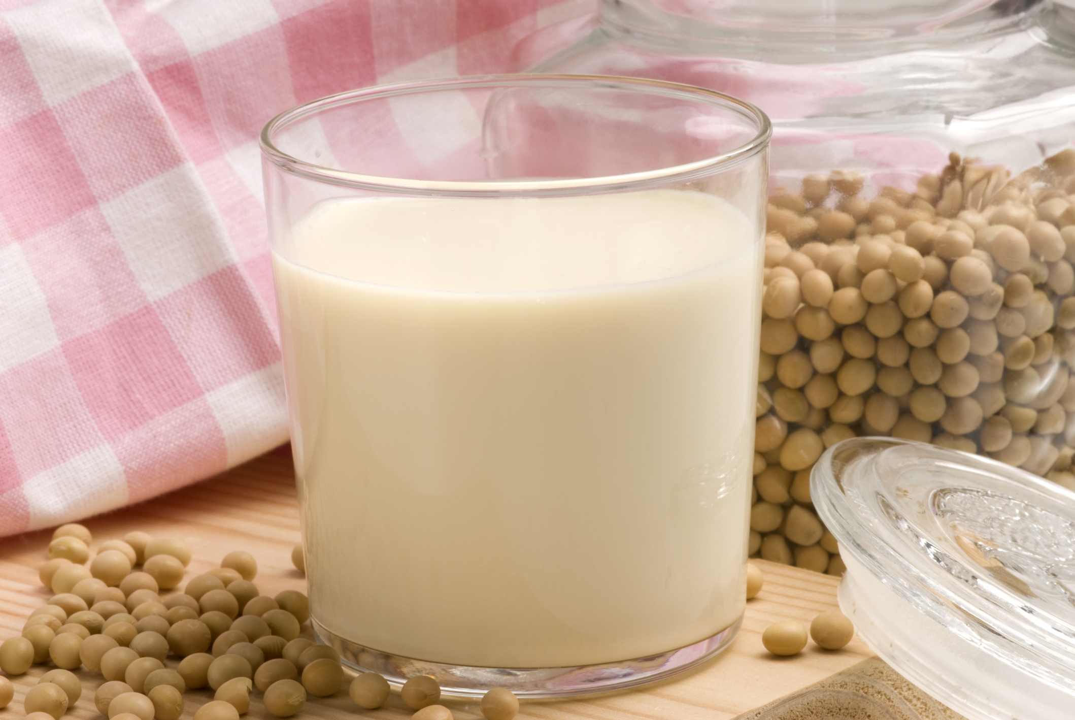 Leche de soja casera