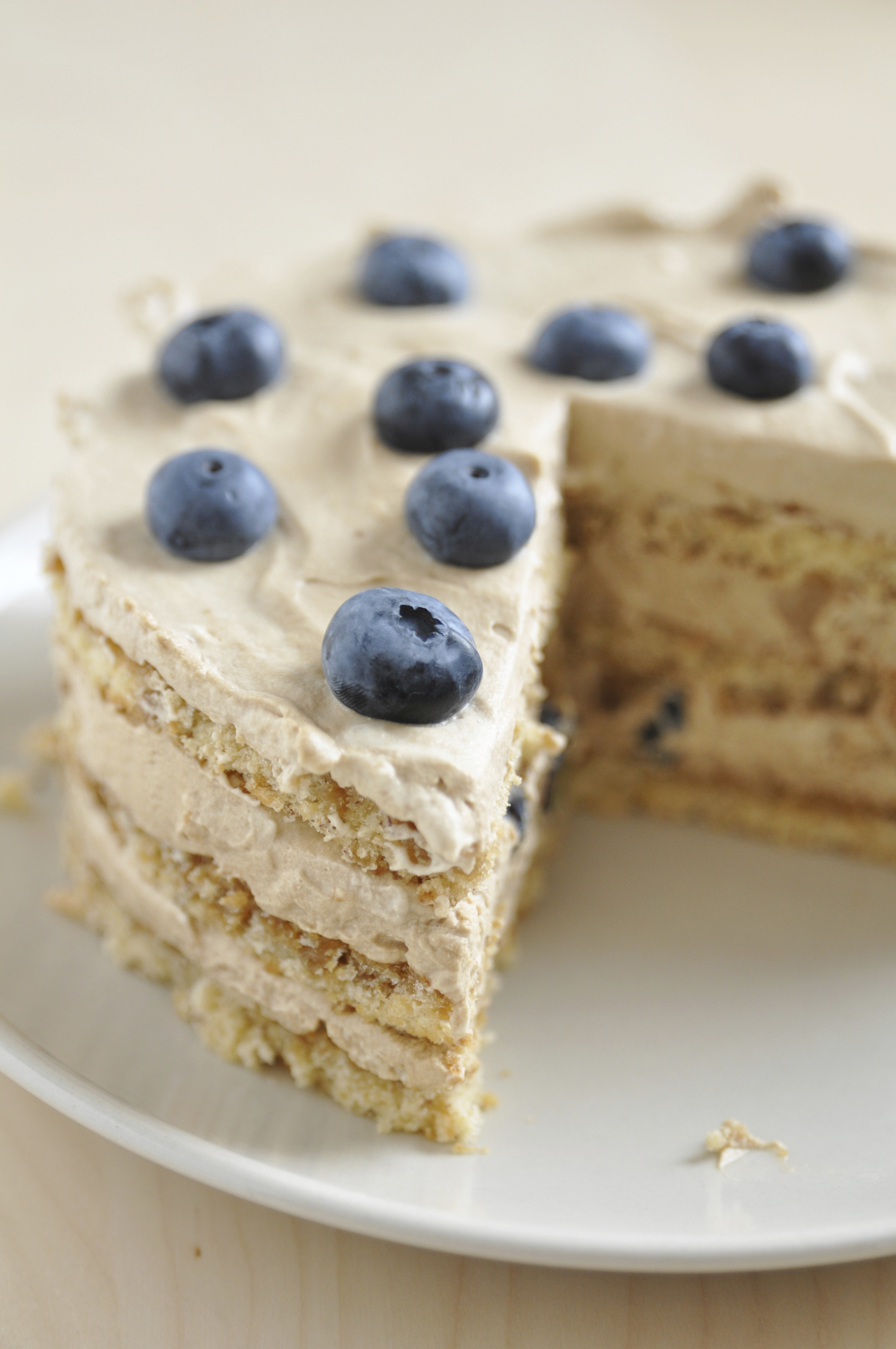 Pastel helado de soletas y crema de ron y café