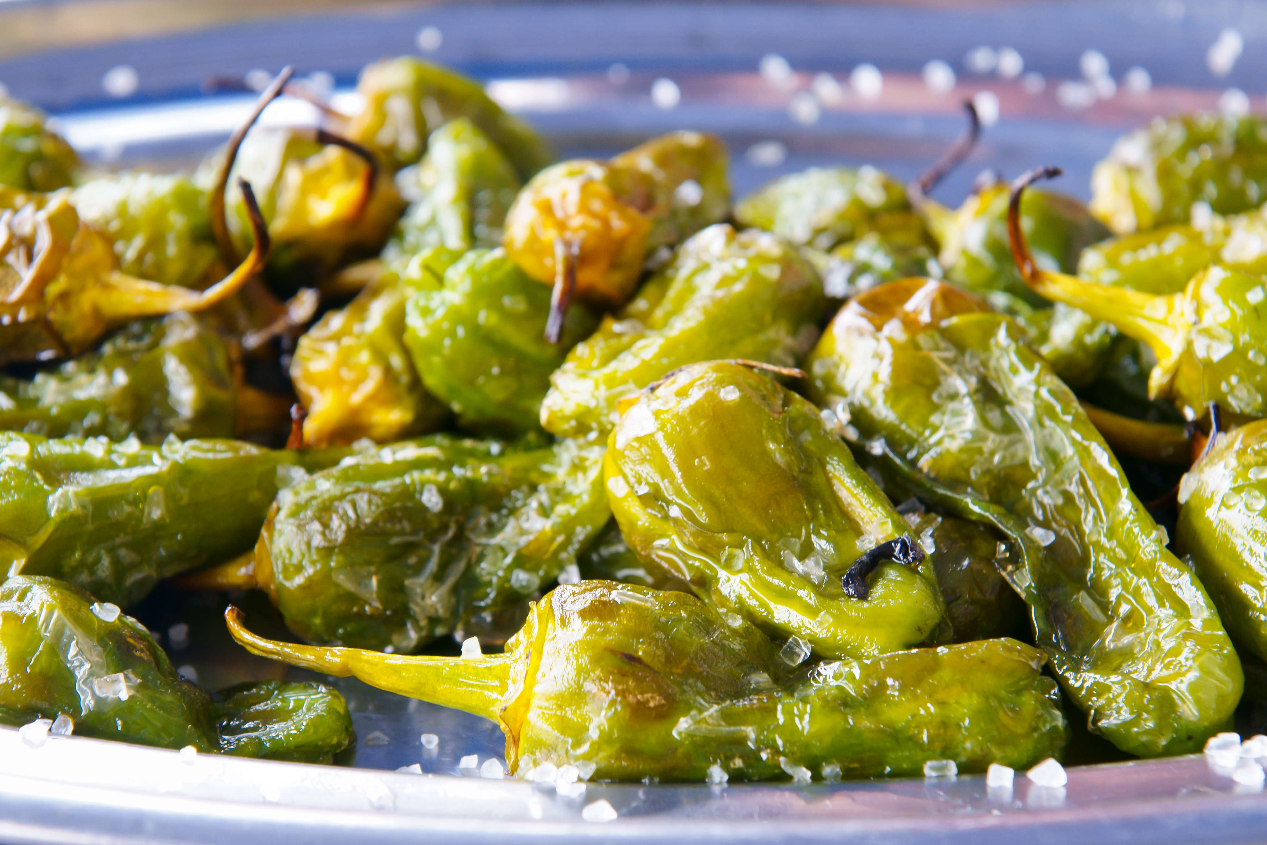 Pimientos de padrón con sal gorda