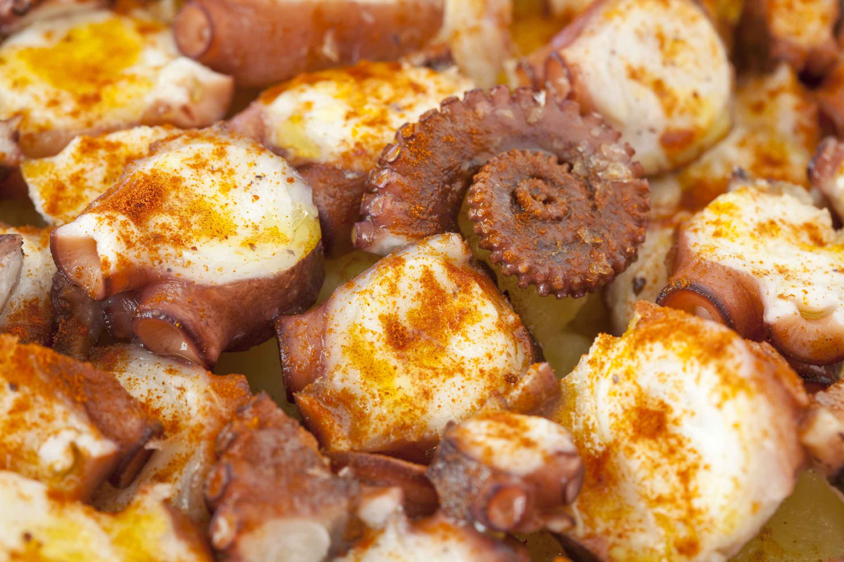 Pulpo - receta de usuario