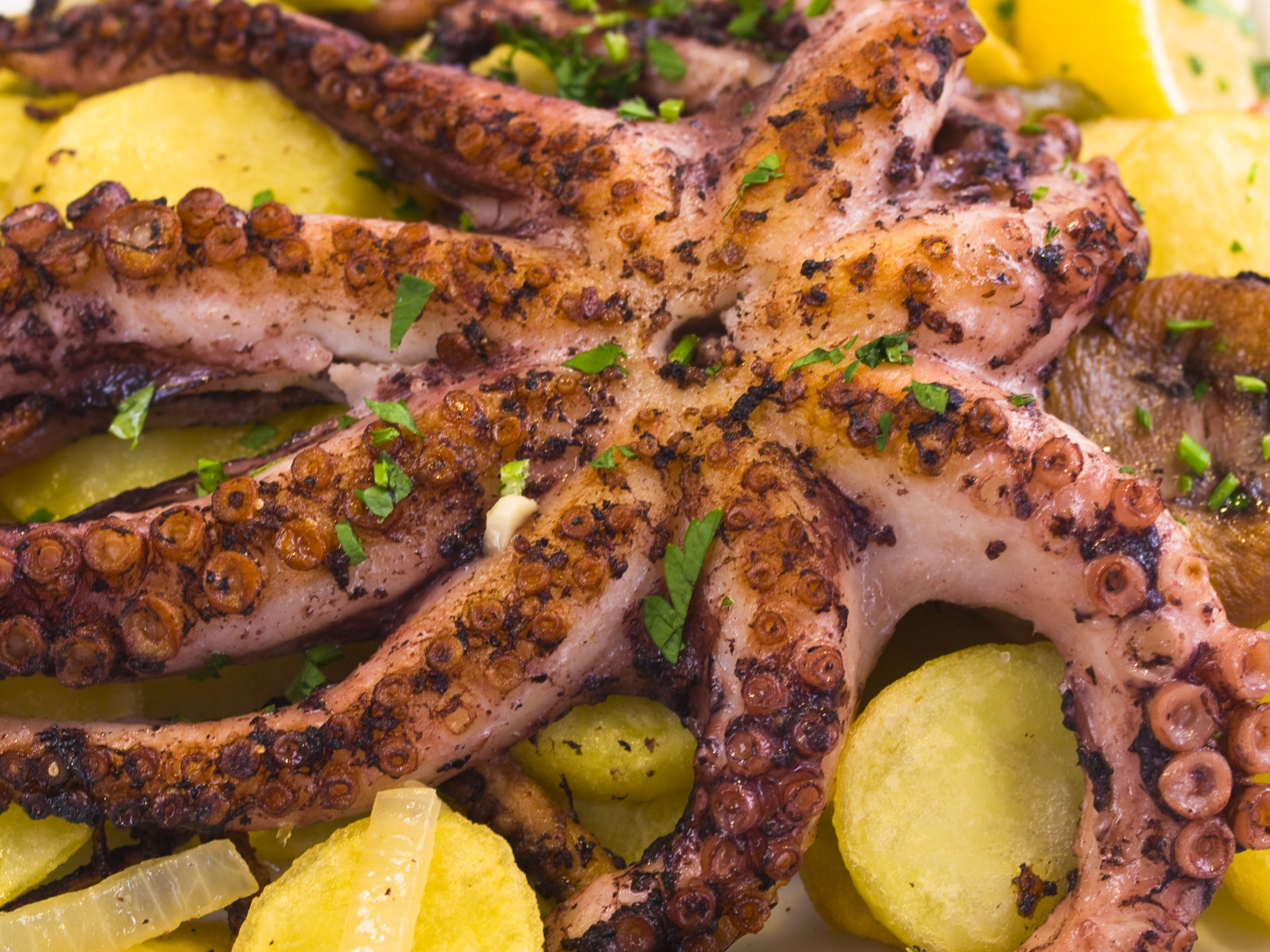 Pulpo con patatas