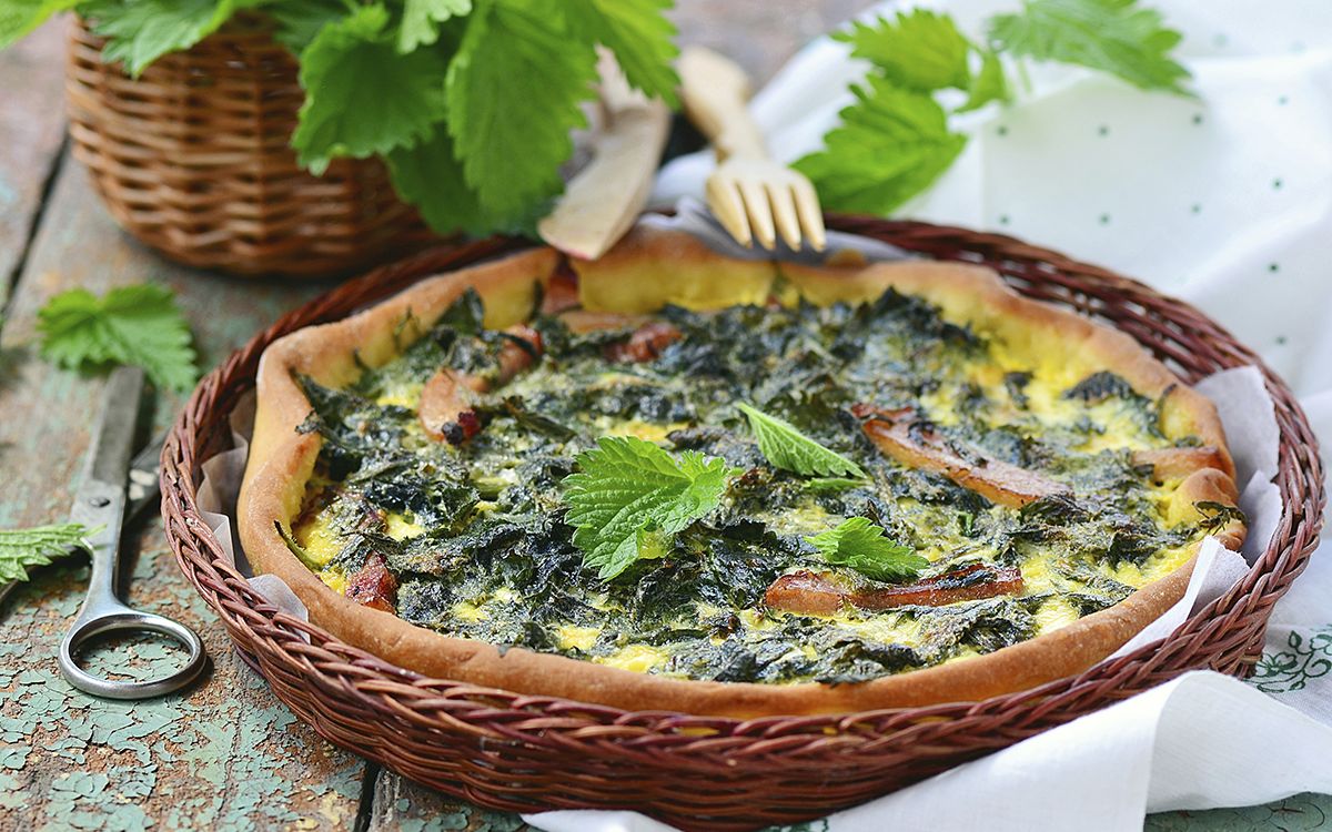 Quiche de ortigas