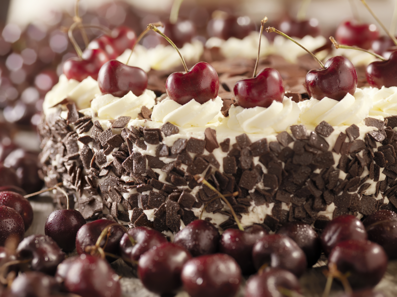 Tarta de chocolate selva negra