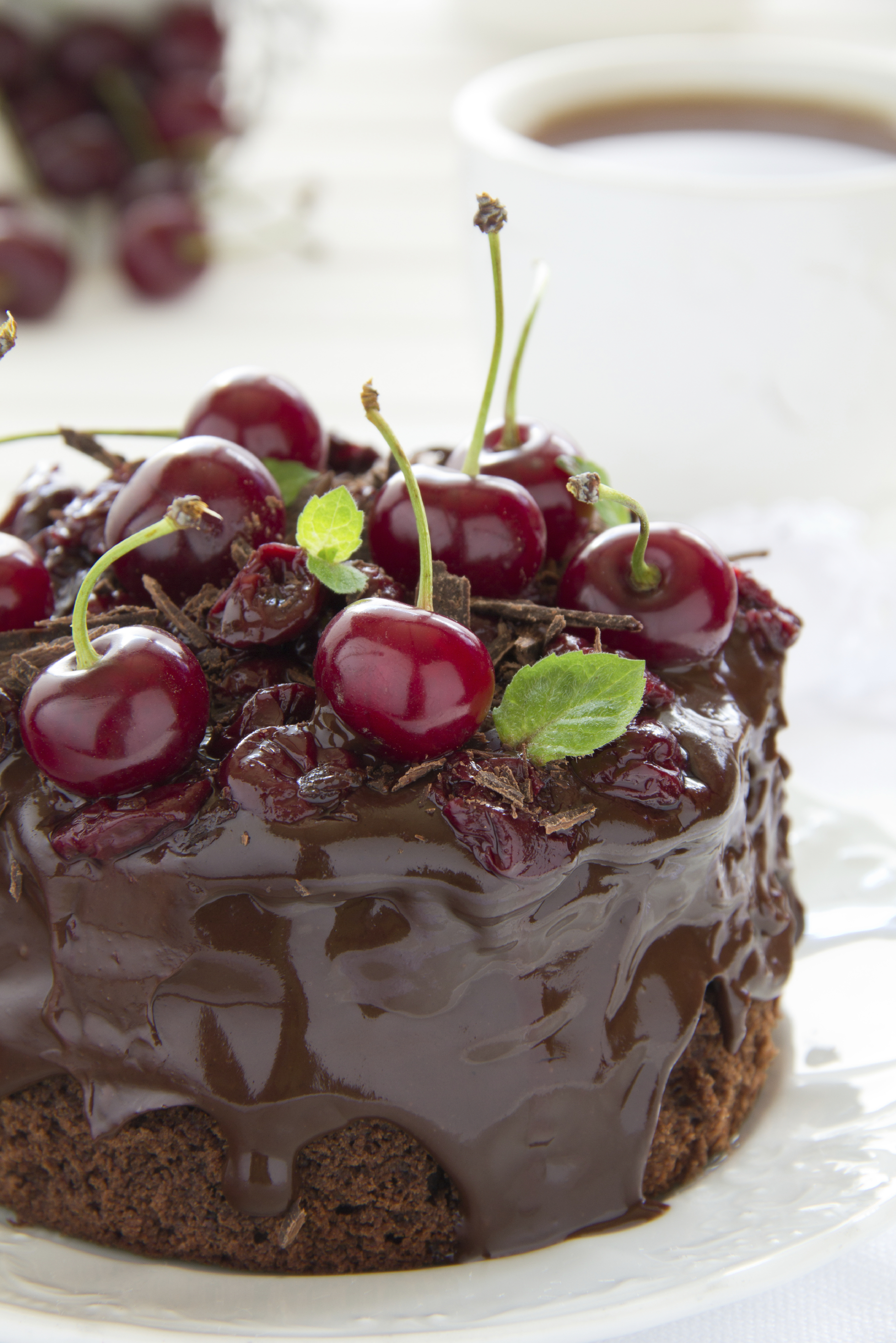 Tarta de chocolate para los chocolateros