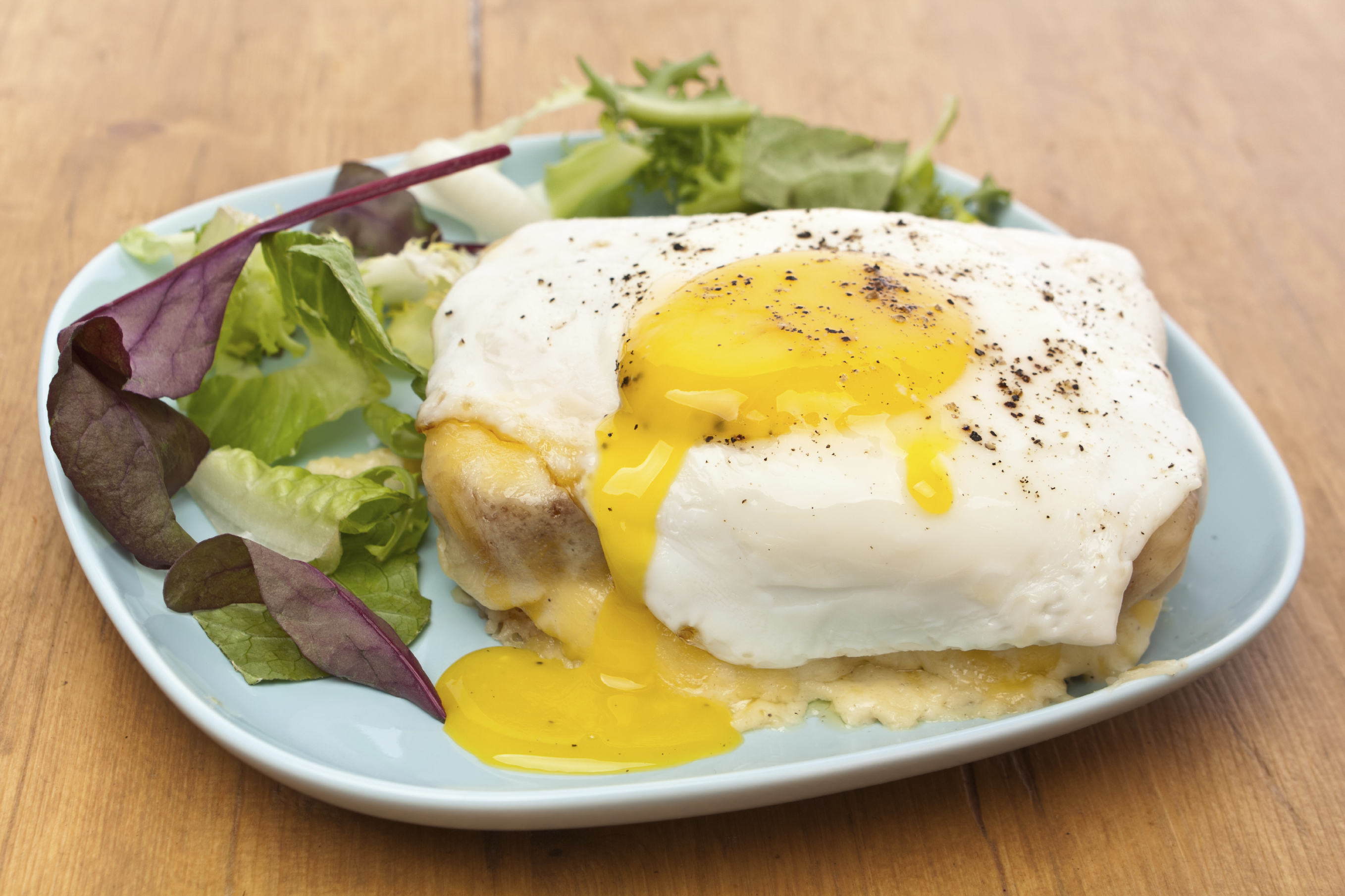 Tostadas con bechamel de setas