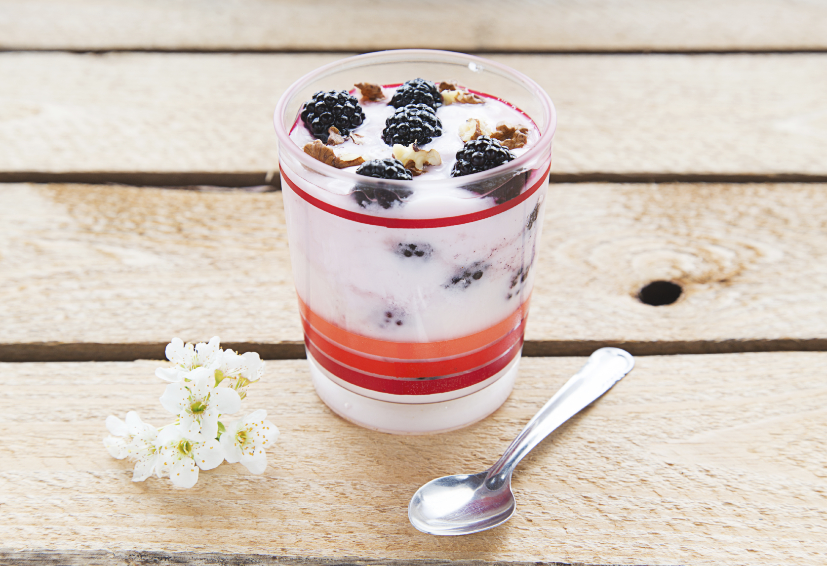 Yogurt de vainilla con colchón de arándanos (en yogurtera)